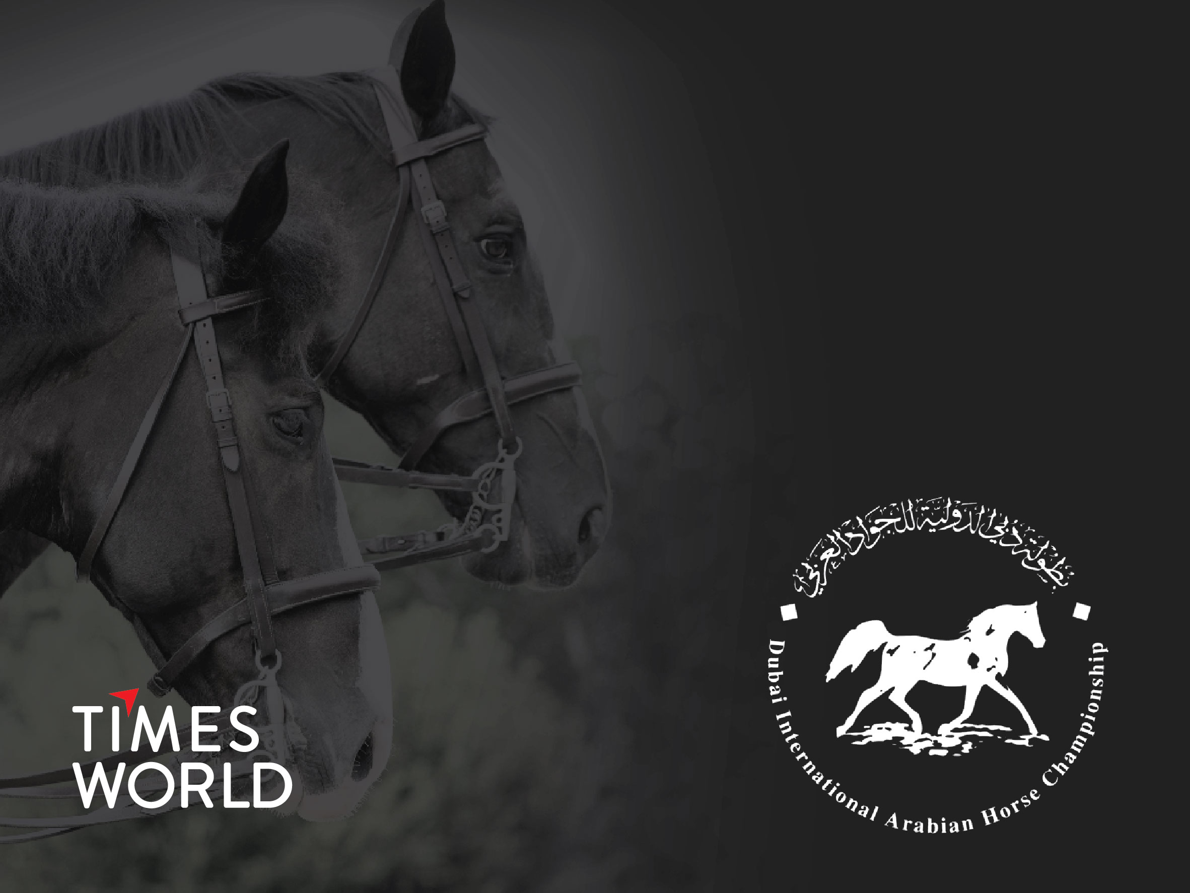 Timesworld appointed Official Data Analysis Partner for Dubai International Arabian Horse Championship 2025